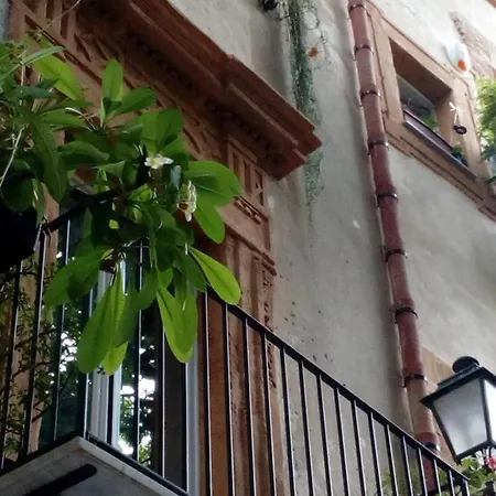 Arimatea Casa Apartament *